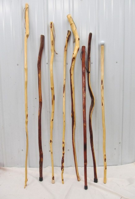 lot 260 image: Great Group of Hand Made DIAMOND WILLOW etc Walking Sticks #1