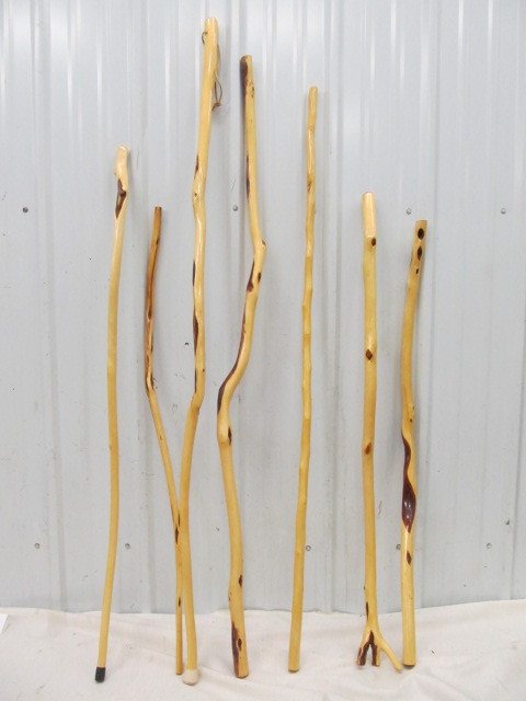 lot 263 image: Great Group of Hand Made DIAMOND WILLOW etc Walking Sticks #2