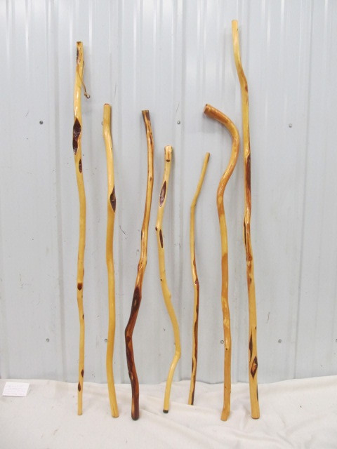 lot 264 image: Great Group of Hand Made DIAMOND WILLOW etc Walking Sticks #3