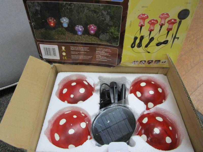 Set of 4 Solar Magic Mushrooms