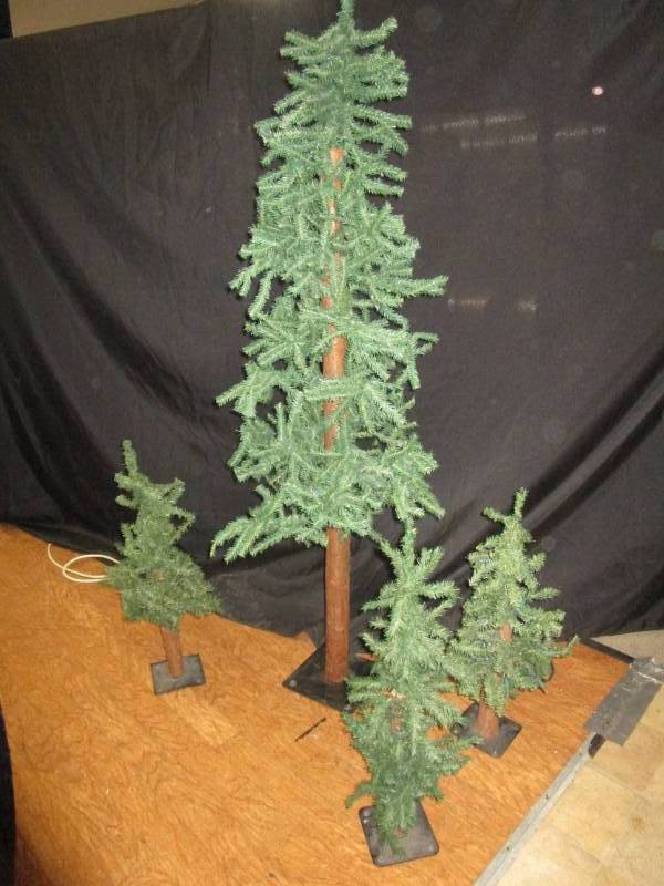 Pine Treees tallest one is 5 ft