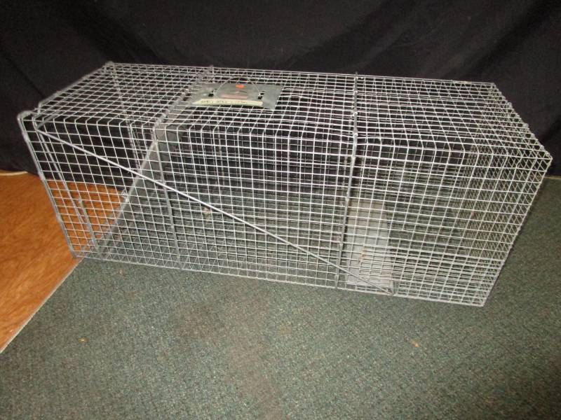 Large live trap