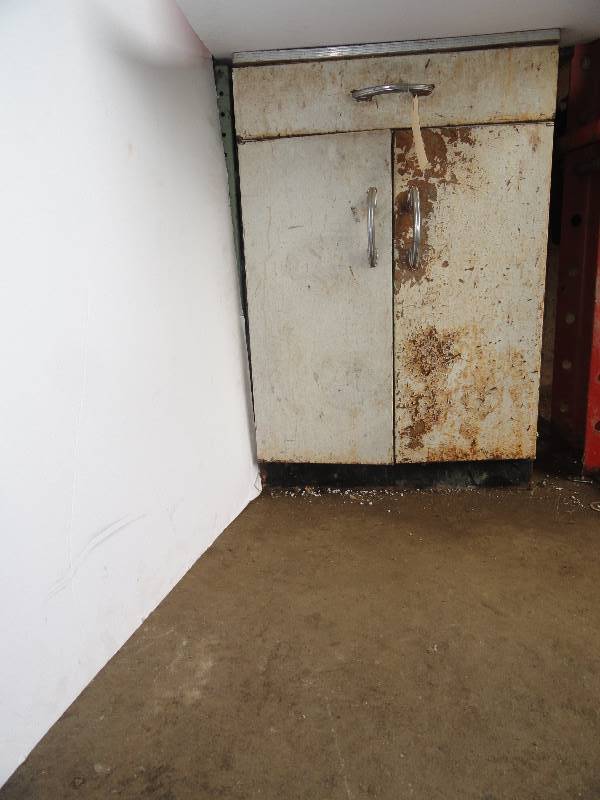 lot 110 image: Cabinet Shelf with door and contents