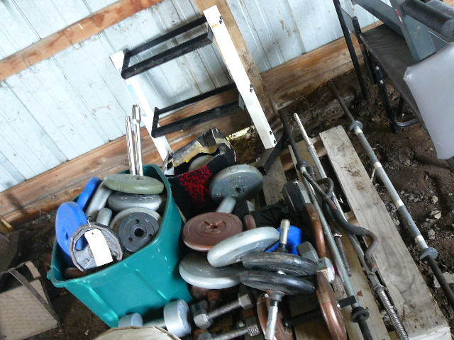 lot 236 image: Dumbbells