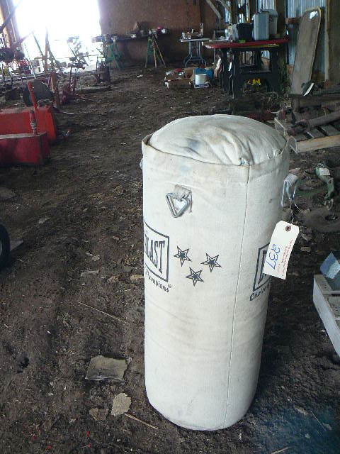 lot 237 image: Punching Bag