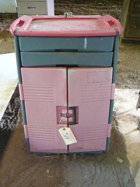 lot 318 image: Plastic Storage Cabinet