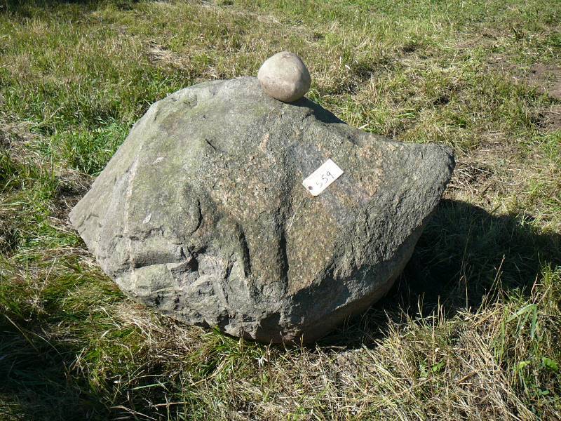 lot 559 image: Large Landscaping Rock