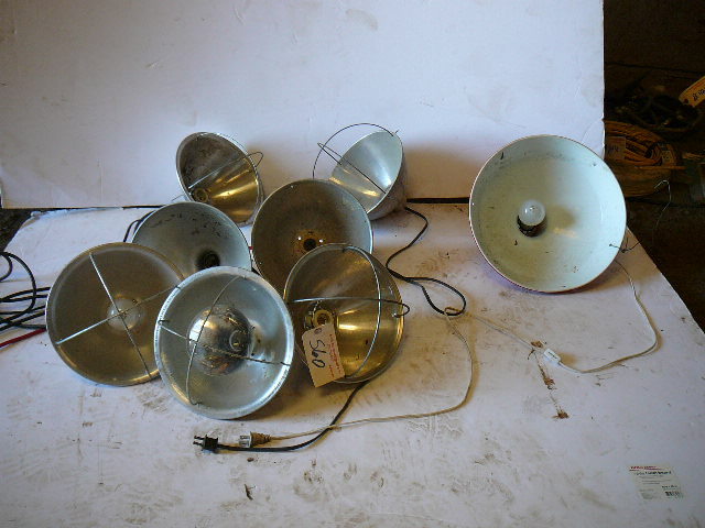 lot 560 image: Heat Lamps