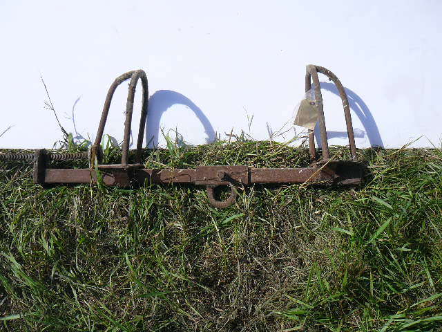 lot 592 image: Cow Hip Hoist