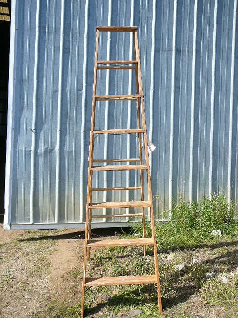lot 596 image: 8 Wooden Step Ladder