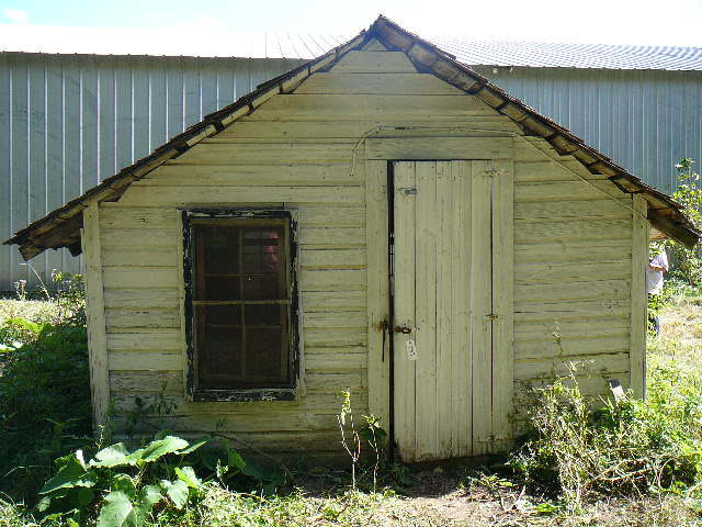 lot 597 image: Shed  14 12 x 11 3 12