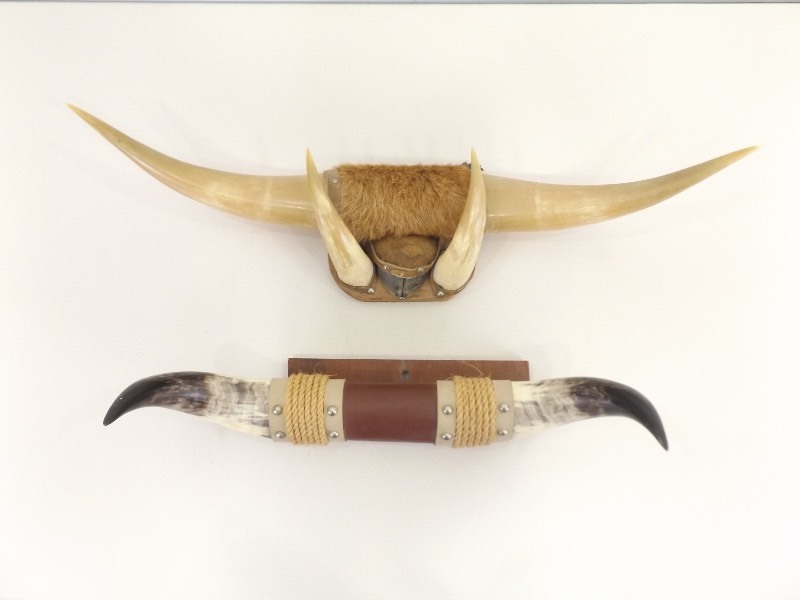 lot 26 image: 2 Vintage Bull Horn Wall Hangings
