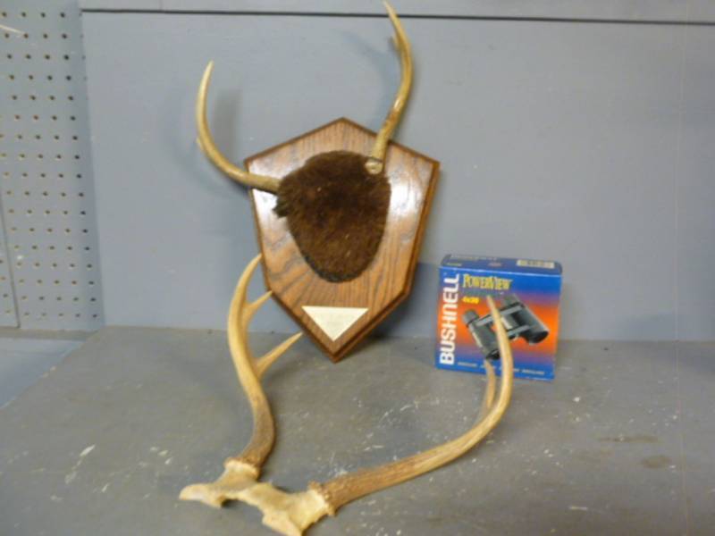 Deer Antlers