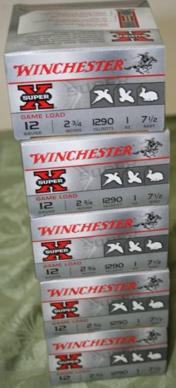 lot 240 image: 12 Gauge Shells