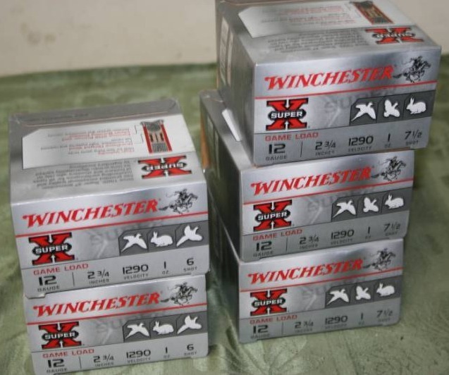lot 242 image: 12 Gauge Shells