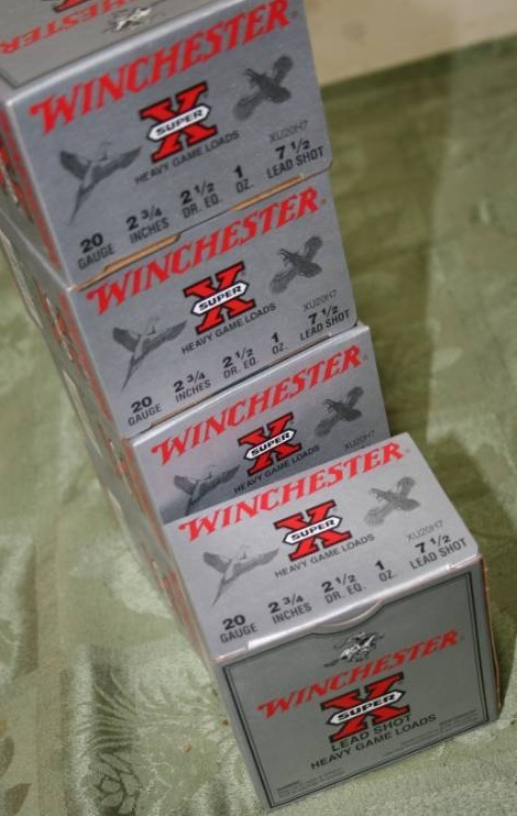 lot 249 image: 20 Gauge Shells