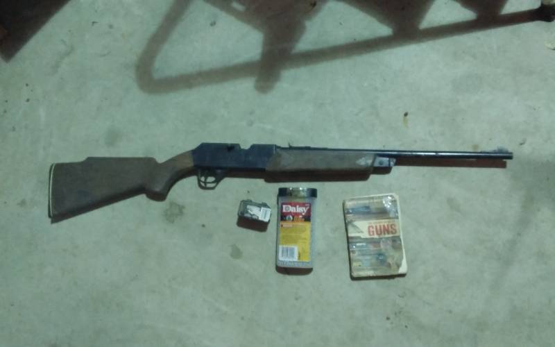 lot 176 image: Daisy Powerline BB Gun, Other BB Gun, BBs & Pellets