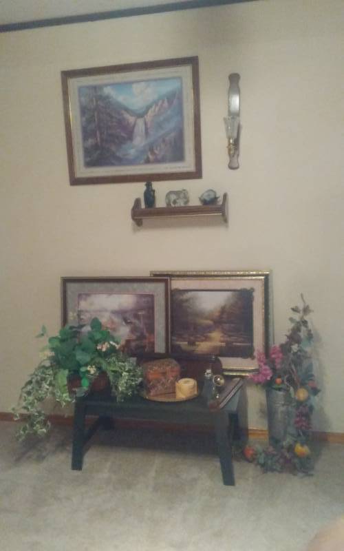 lot 217 image: Lot Of Home Decor Coffee Table, 3-Framed Pictures, Greenery, Geode & Figurines