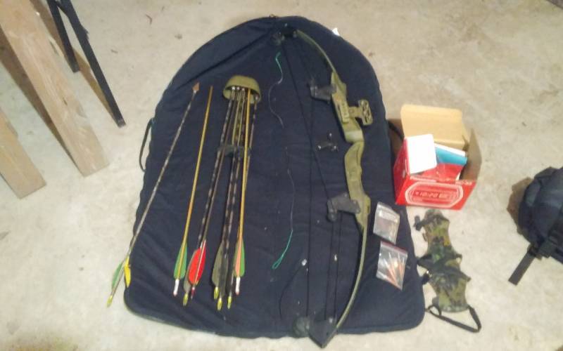 lot 255 image: Bear Brand Whitetail Hunter Compound Bow