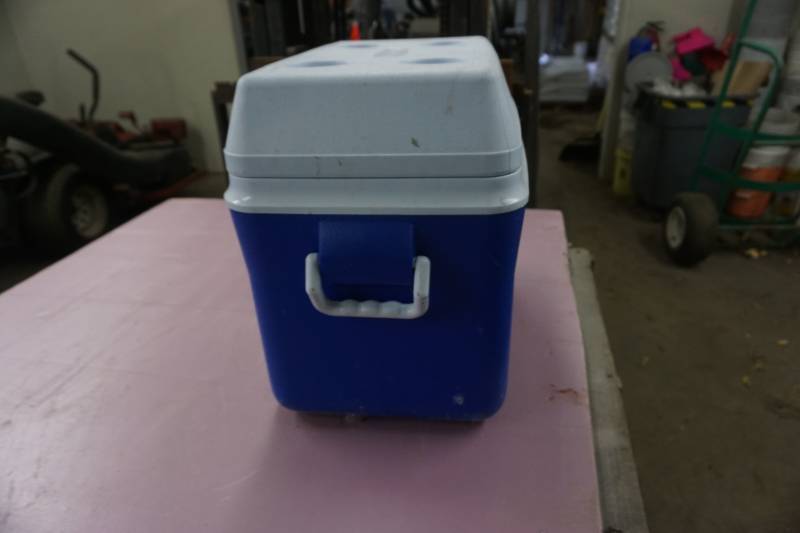 lot 27 image: Rubbermaid Brand Cooler