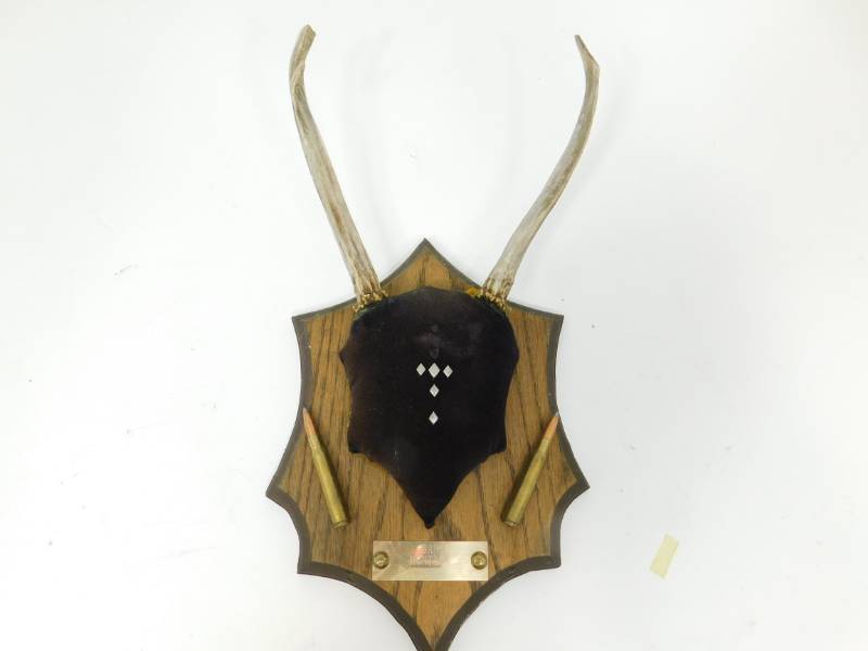 lot 89 image: Wooden  Wall Plaque With Horns Mounted On It
