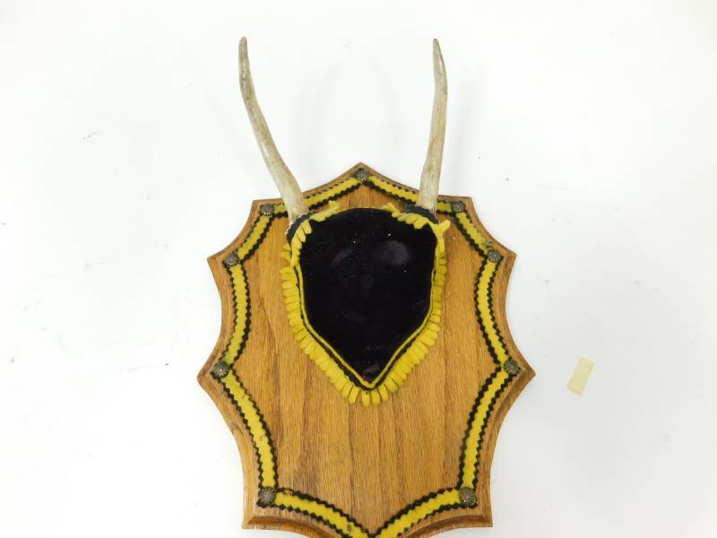 lot 90 image: Wooden  Wall Plaque With Horns Mounted On It---17 12 Tall  x  9 Wide