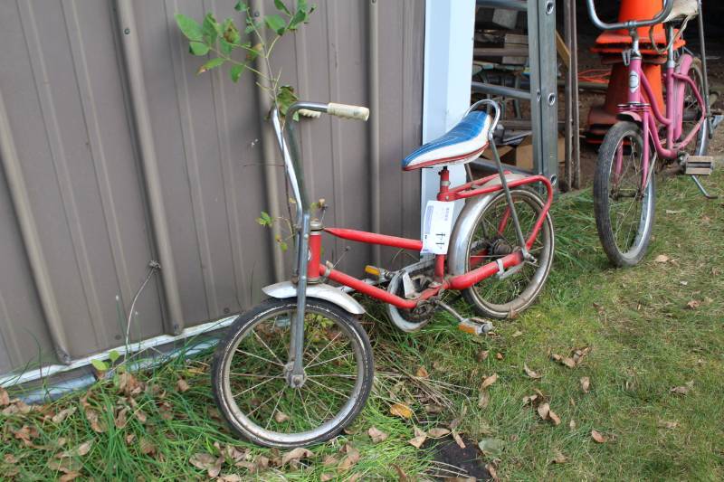 lot 44 image: Free Spirit Bike
