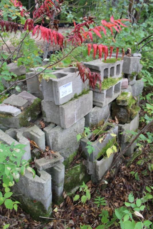 lot 268 image: Cinder Blocks