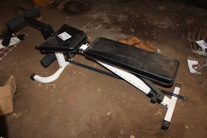 lot 344 image: Adjustable Weight Lifting Bench