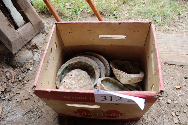 lot 312 image: Oyster Shells