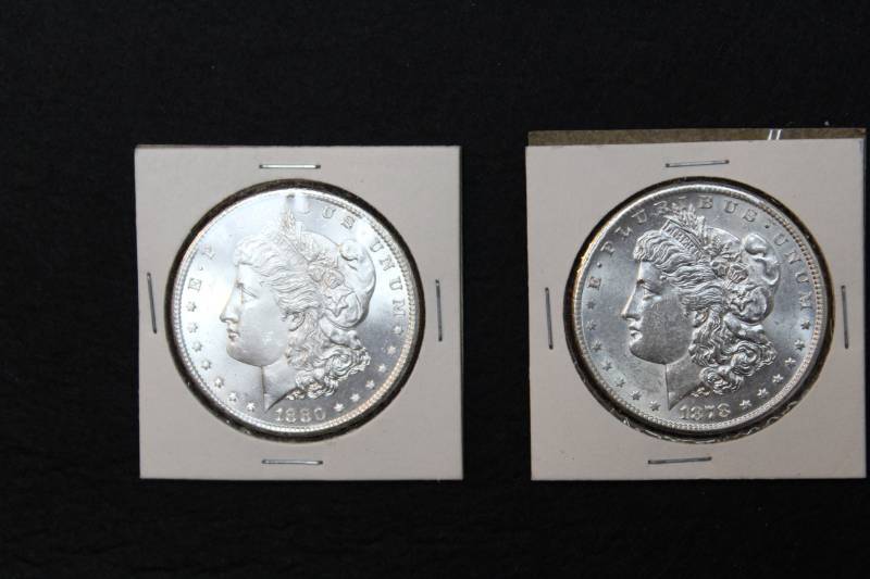 lot 11 image: Lot of  (2) Morgan Silver Dollars in Collector Sleeves