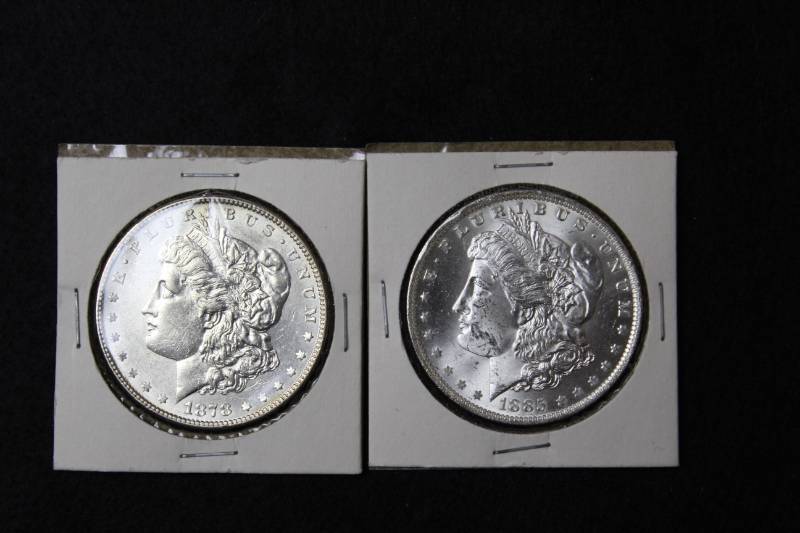 lot 18 image: Lot of  (2) Morgan Silver Dollars in Collector Sleeves