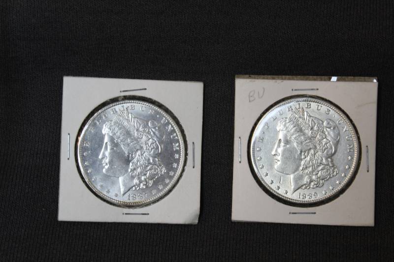 lot 29 image: Lot of  (2) Morgan Silver Dollars in Collector Sleeves