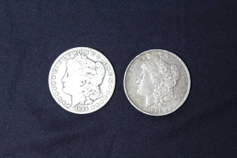 lot 72 image: Lot of  (2) Morgan Silver Dollars in Collector Sleeves