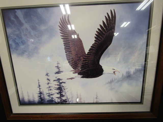 lot 49 image: Wildlife Pictures