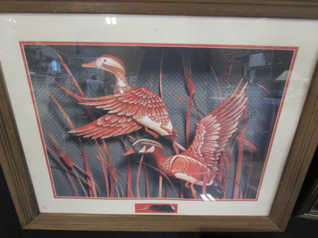 lot 50 image: Wildlife Pictures