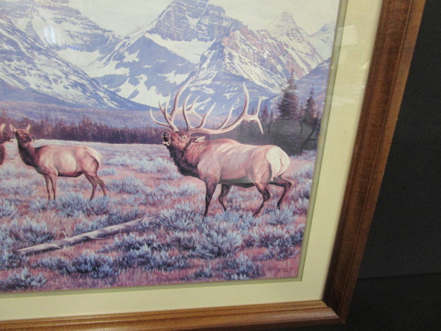 lot 51 image: Elk Picture