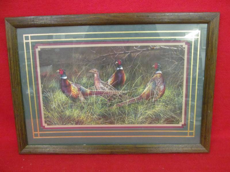 lot 165 image: pheasant picture