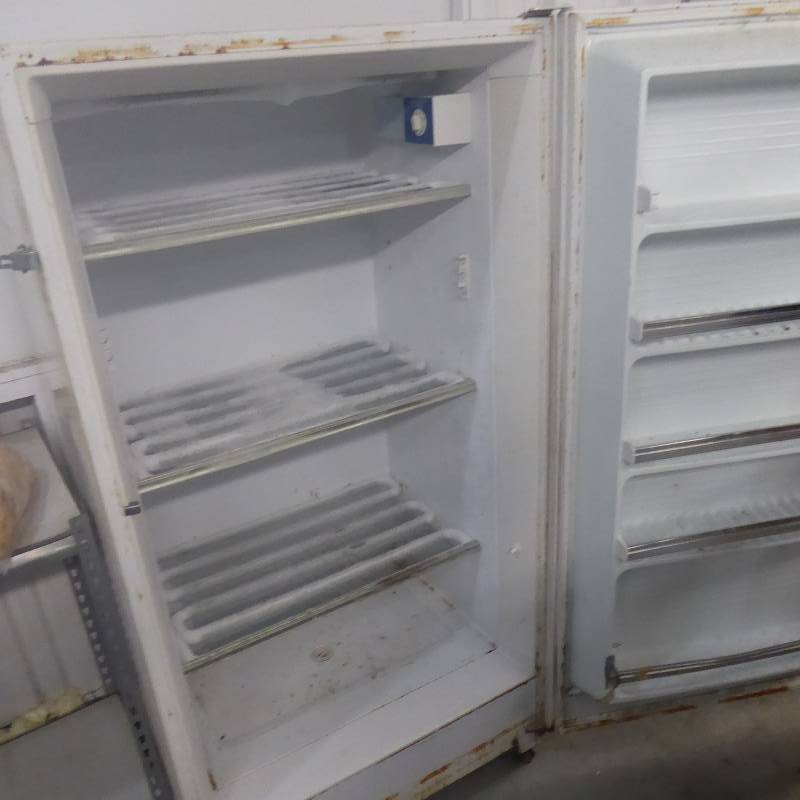 lot 102 image: Upright Freezer