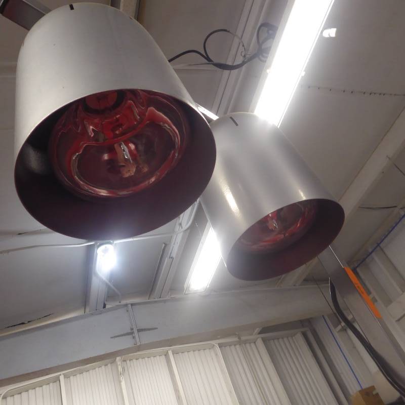 lot 169 image: Nemco 6000A-2 Two-Bulb Freestanding Heat Lamp