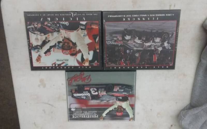 3-Dale Earnhardt Collector Plaques