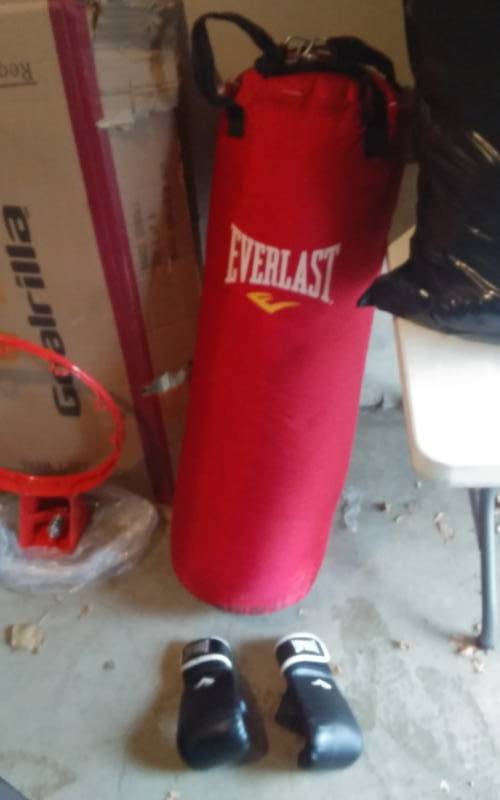 Everlast Punching Bag & Gloves