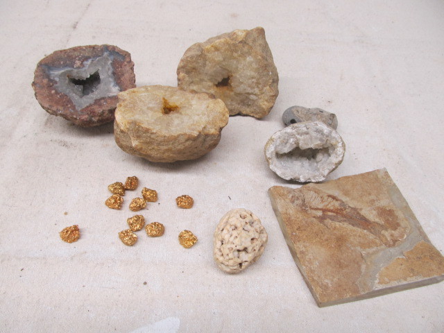 lot 177 image: Geodes Fossil & Others Rocks