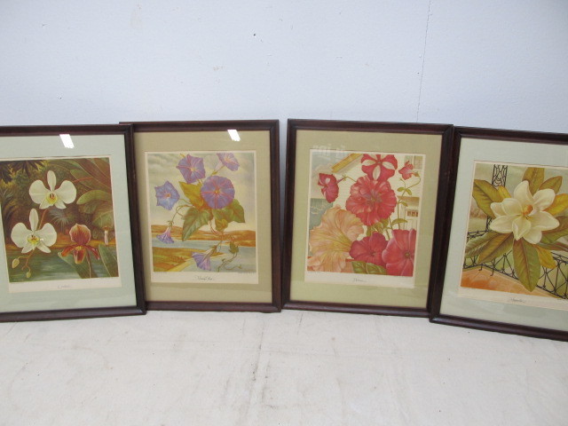 lot 179 image: Orig Vintage 1940s Framed Botanical Prints