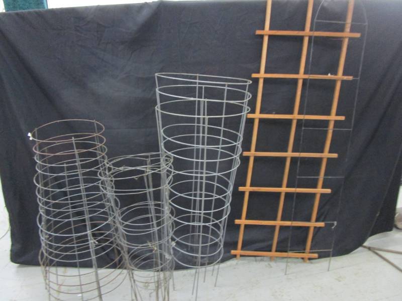 lot 81 image: Tomato Cages and Treliss