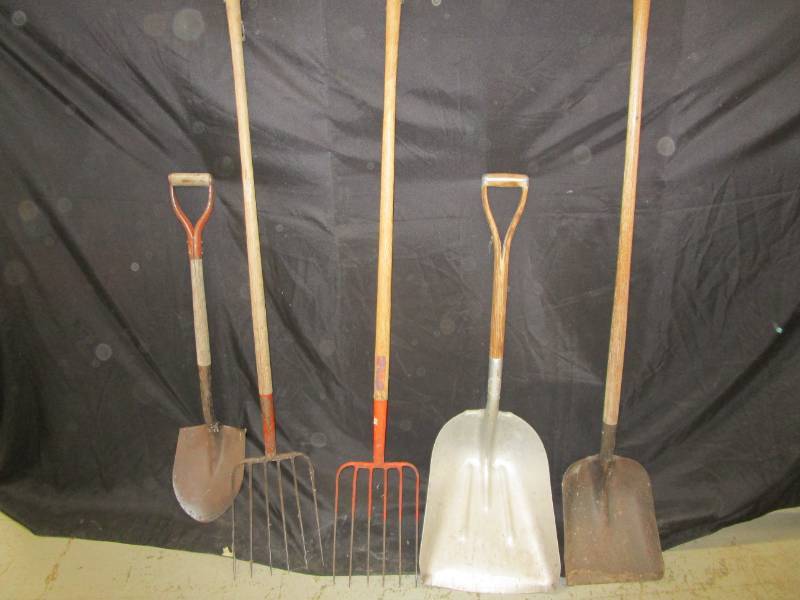 lot 97 image: Pitch forks, grain shovel and spade