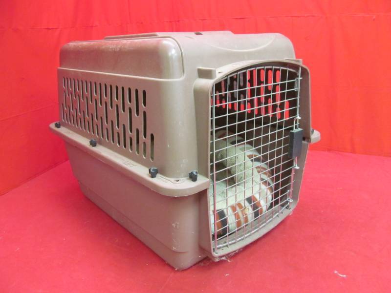 lot 168 image: Aspen pet (pet porter)