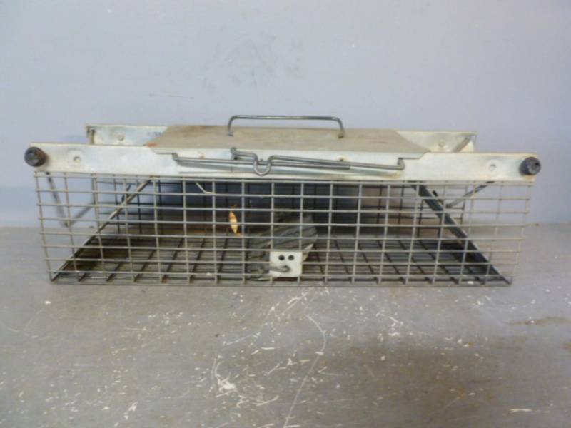 lot 230 image: Live Trap