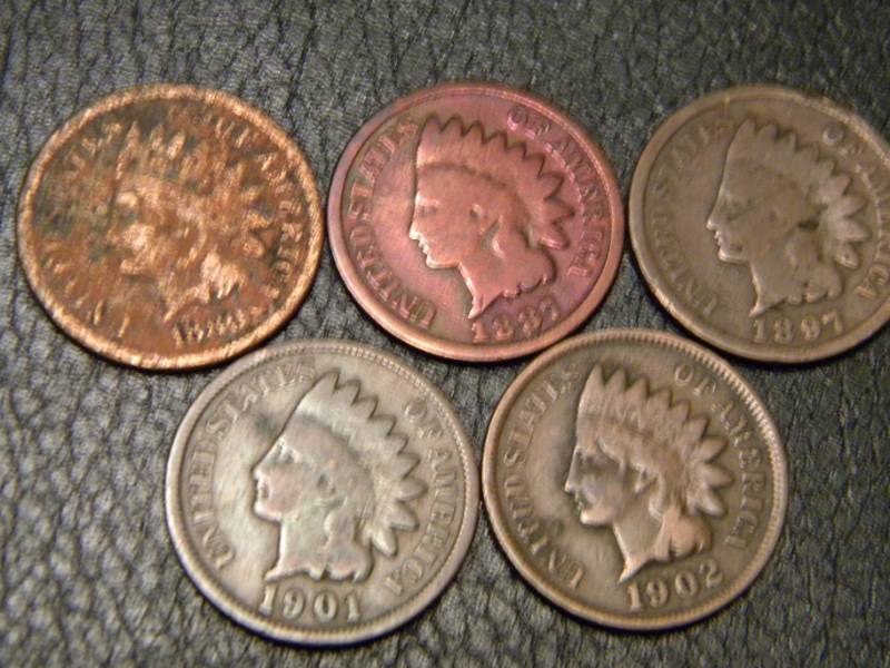 5 Indian Head Pennies