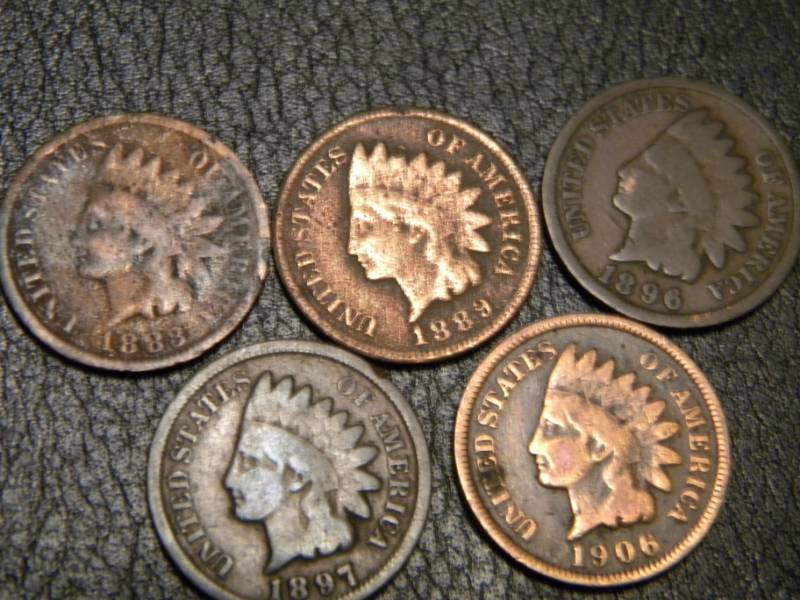 5 Indian Head Pennies